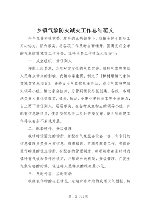 乡镇气象防灾减灾工作总结范文.docx