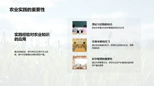 稻田科学种植