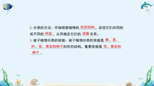 人教版八年级生物上册6.1《根据生物的特征进行分类》复习课件（含19张ppt）