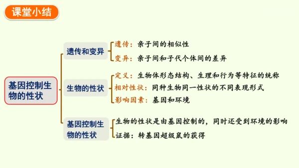 7.2.1基因控制生物的性状-八年级生物人教版下学期同步精品课件(共27张PPT)