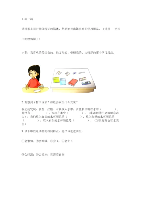 教科版小学科学一年级下册期末测试卷【全优】.docx