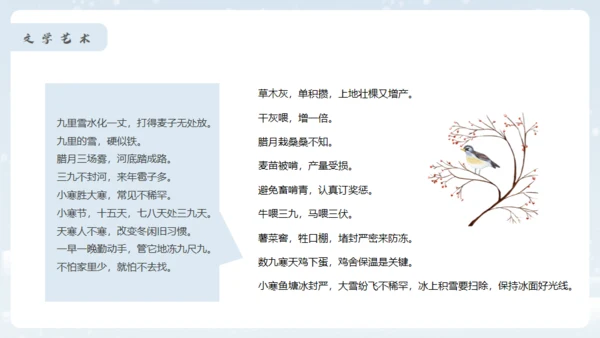 小寒冬天雪地白茫茫雪景通用PPT模板