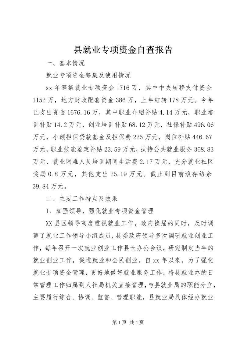 县就业专项资金自查报告.docx