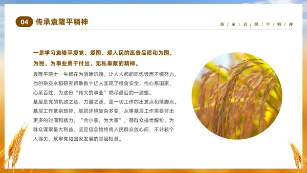 黄色实拍稻穗522纪念杂交水稻之父袁隆平主题班会PPT纪念袁隆平