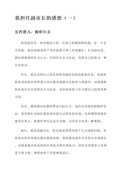 我担任副市长的感想