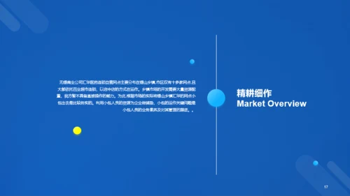 蓝色科技二级城市市场营销状况年度总结PPT案例