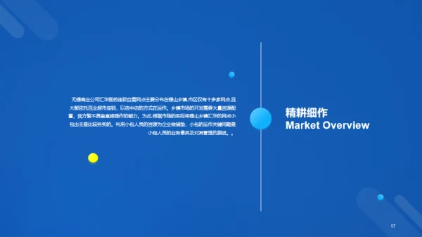 蓝色科技二级城市市场营销状况年度总结PPT案例