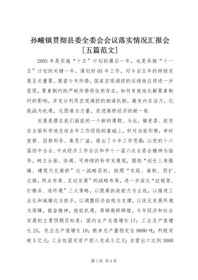 孙疃镇贯彻县委全委会会议落实情况汇报会[五篇范文] (4).docx