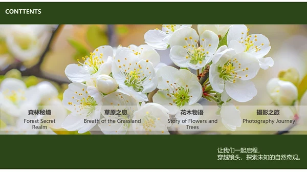 绿色简约风摄影师个人作品集PPT模板