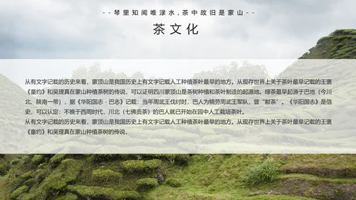 中国传统茶文化茶艺宣传PPT模板