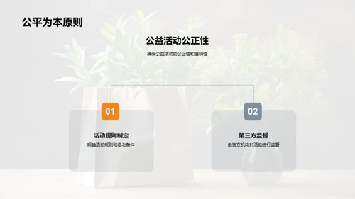 绿色双十一，环保之选