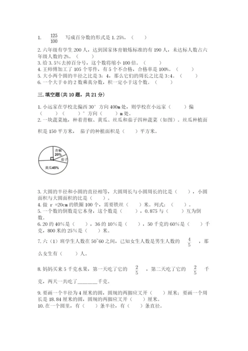2022人教版六年级上册数学期末测试卷含完整答案（历年真题）.docx