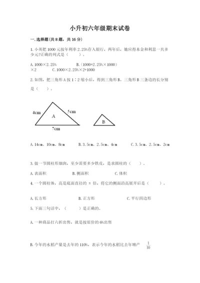 小升初六年级期末试卷精品【能力提升】.docx