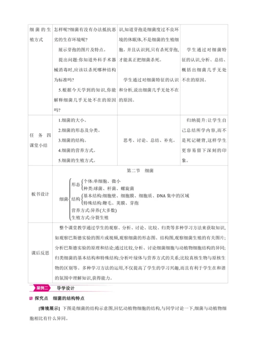 5.4.2细菌【2024秋人教八上生物精彩课堂（素材+教案+导学案）】