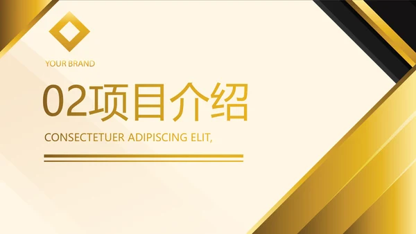 金色高端霸气商业计划书PPT动态模板
