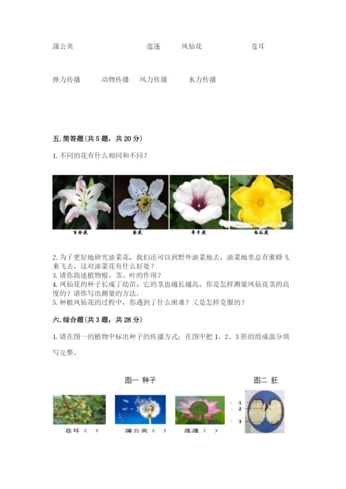 教科版科学四年级下册第一单元《植物的生长变化》测试卷（研优卷）.docx