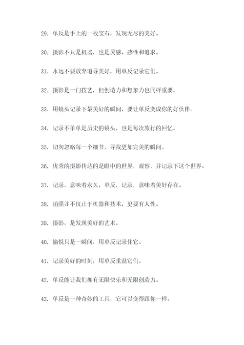 关于单反的俗语或谚语
