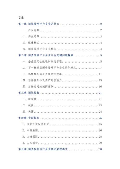 国资投资运营公司运营模式专项研究报告.docx