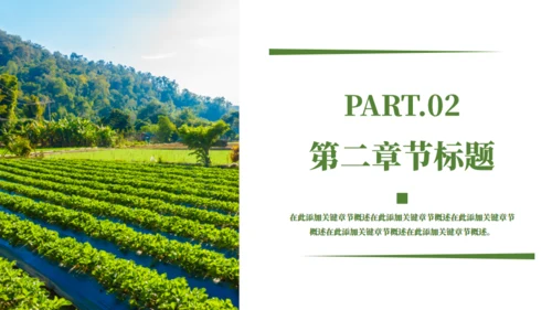 乡村振兴精准扶贫，特色农业项目计划书通用PPT模板