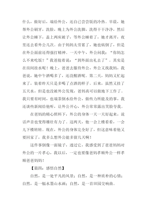 我的感悟作文600字.docx