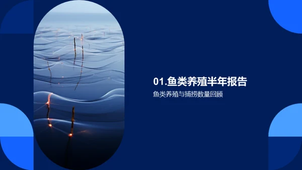 优化鱼塘经营策略