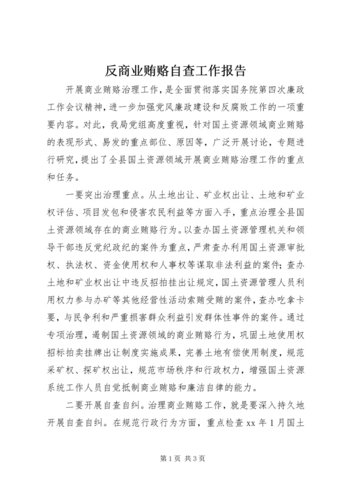 反商业贿赂自查工作报告 (2).docx