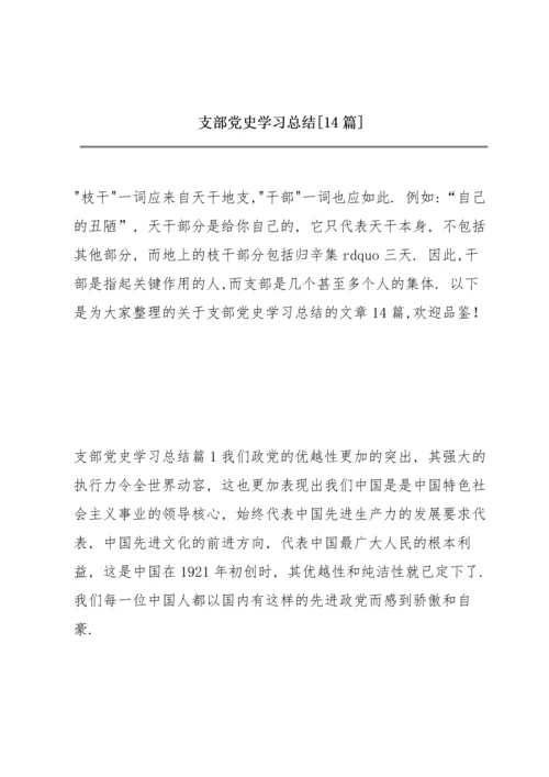 支部党史学习总结【14篇】.docx