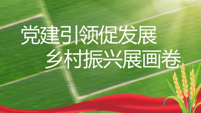 党建引领促发展乡村振兴展画卷PPT