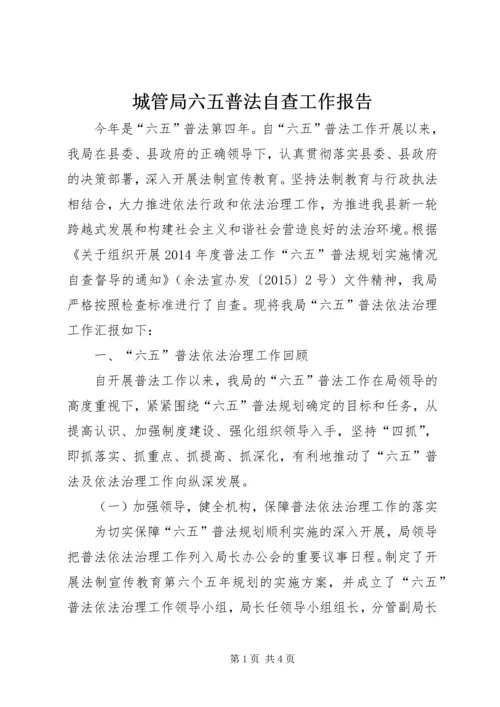 城管局六五普法自查工作报告.docx