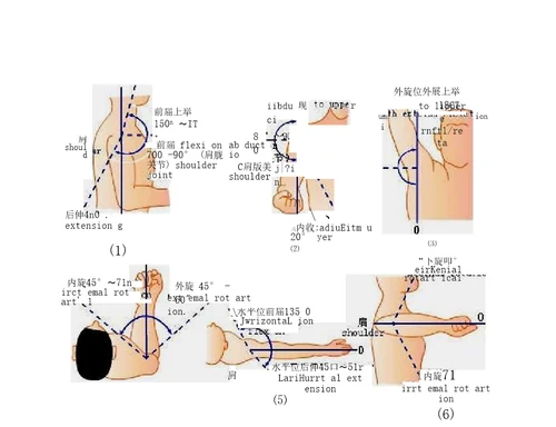 关节活动度记录方法