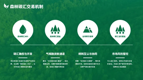 绿色清新森林生态环境保护调研汇报PPT模板