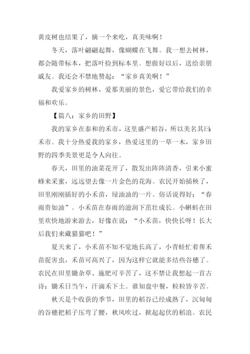 家乡的一处景物作文450字.docx