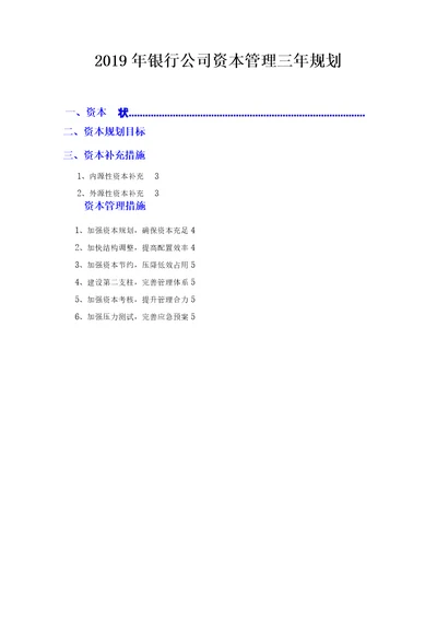 2019年银行公司资本管理三年规划