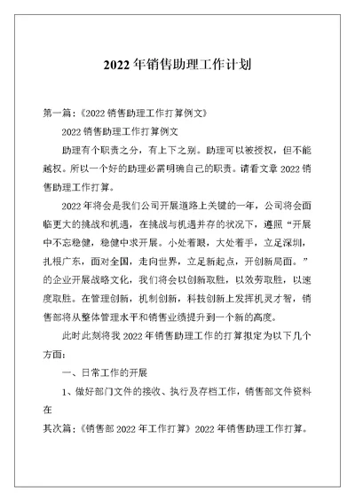 2022年销售助理工作计划