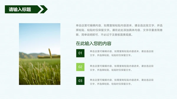 振兴乡村方案PPT模板