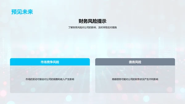 财务年度回顾