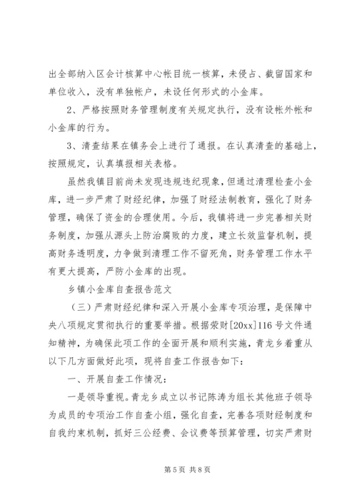 乡镇小金库自查报告范文某年.docx