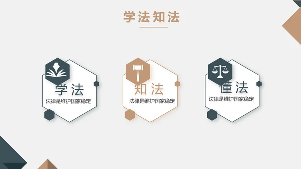 严谨大气法律法学律师工作汇报动态PPT模板