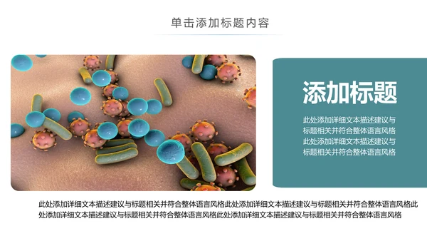 医疗细菌病毒微生物细胞组织动态ppt模板