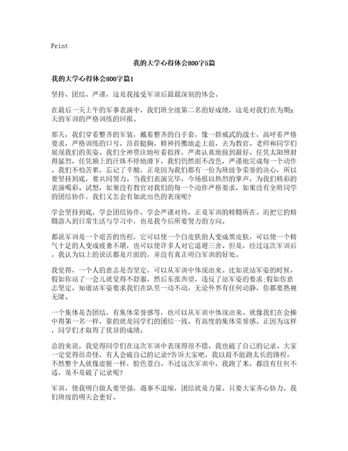 我的大学心得体会800字5篇