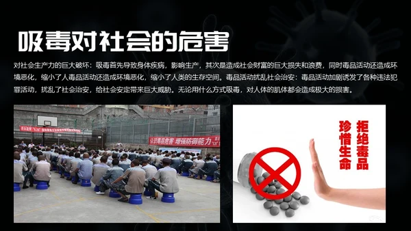 远离违禁品禁毒宣传通用PPT模板