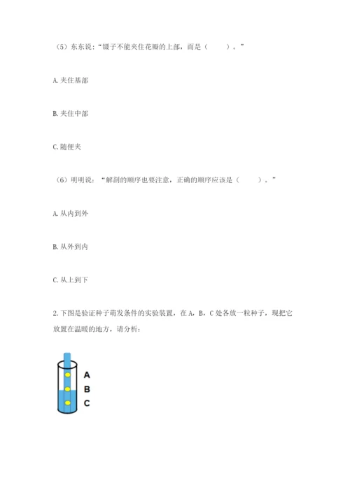 教科版科学四年级下册第一单元《植物的生长变化》测试卷【考点精练】.docx