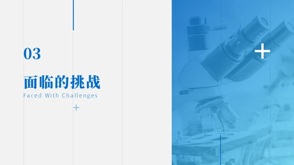 医药行业销售述职报告通用PPT模板