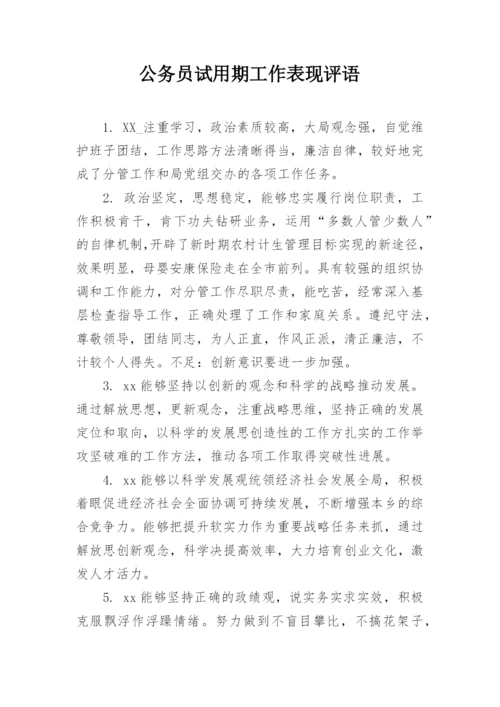 公务员试用期工作表现评语.docx