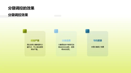 稻谷种植的科技革新