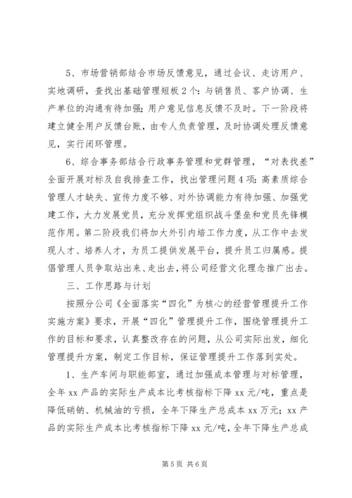 管理提升工作总结及管理提升二、三阶段推进安排 (4).docx