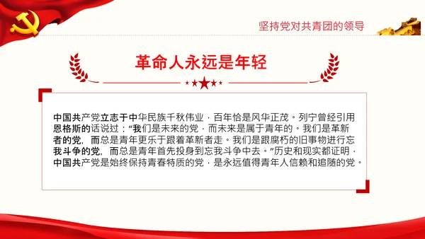 在庆祝共青团成立100周年大会上的讲话PPT