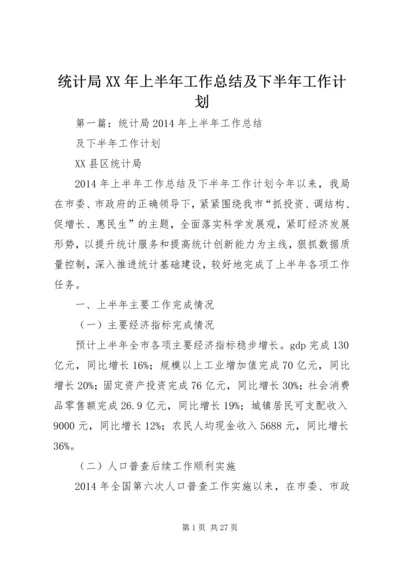 统计局XX年上半年工作总结及下半年工作计划 (2).docx