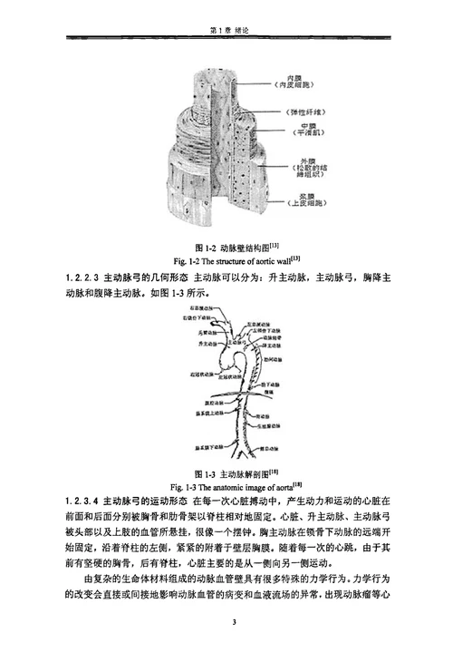 考虑残余应力的主动脉弓血管壁的有限元分析工程力学专业毕业论文