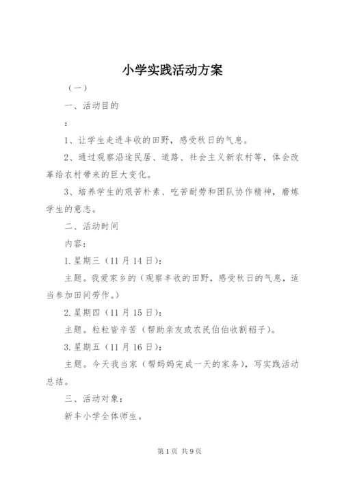 小学实践活动方案.docx